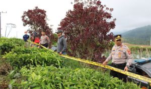 Polresta Bandung Usut Kasus Perusakan Lahan Perkebunan Teh di Pangalengan