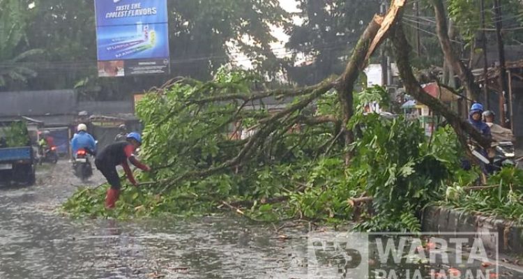 Pohon Tumbang Kembali Tutup Akses Kawasan Pemkot Cimahi