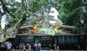 Lelang Selesai, Pemkot Tetapkan Pengelola Baru Kebun Binatang Bandung