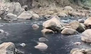 Viral Sungai Ciwidey Dialiri Limbah Menghitam, KDM Pastikan Segera Identifikasi Pelaku