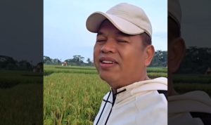 Pemprov Jawa Barat Ambil Alih Penyelenggaraan MTQ 2027 Pasca Garut Mundur Jadi Tuan Rumah