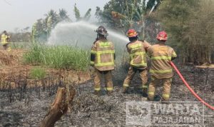 Diduga Lalai Bakar Sampah, Rumput di Lahan Kosong di Kopo Urug Terbakar